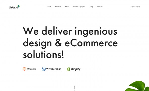 LinkSture eCommerce Agency