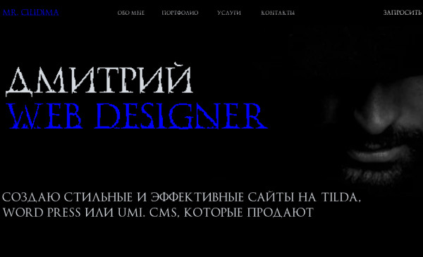 Dmitry Web Designer