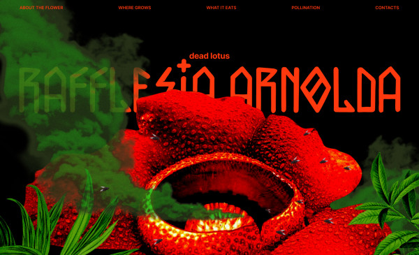 Rafflesia Arnolda
