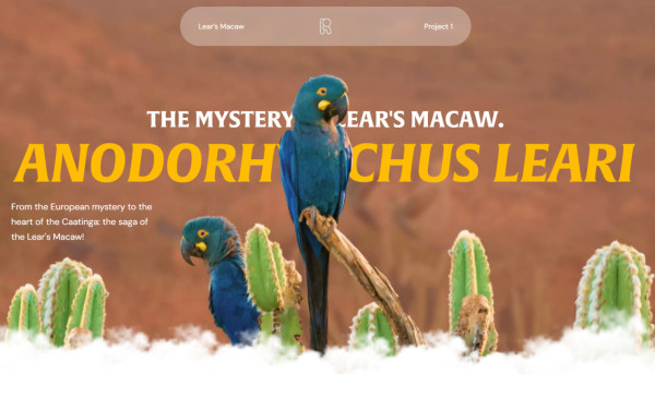 The Mystery of Lears Macaw
