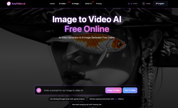 AnyVideoAI