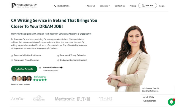 Professional CV Ireland