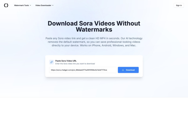 Sora Video Downloader