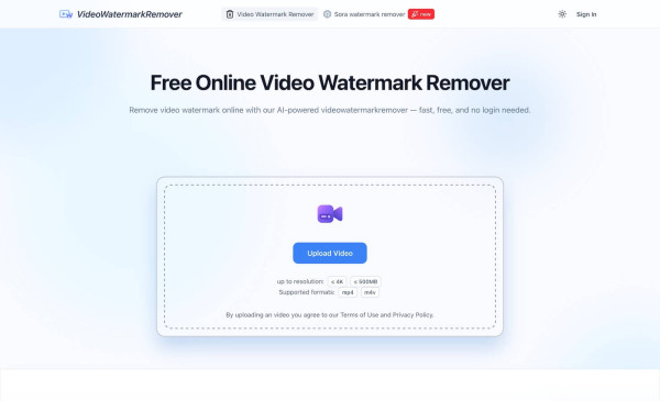 Video Watermark Remover