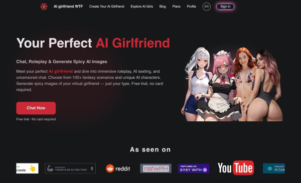 AI Girlfriend WTF