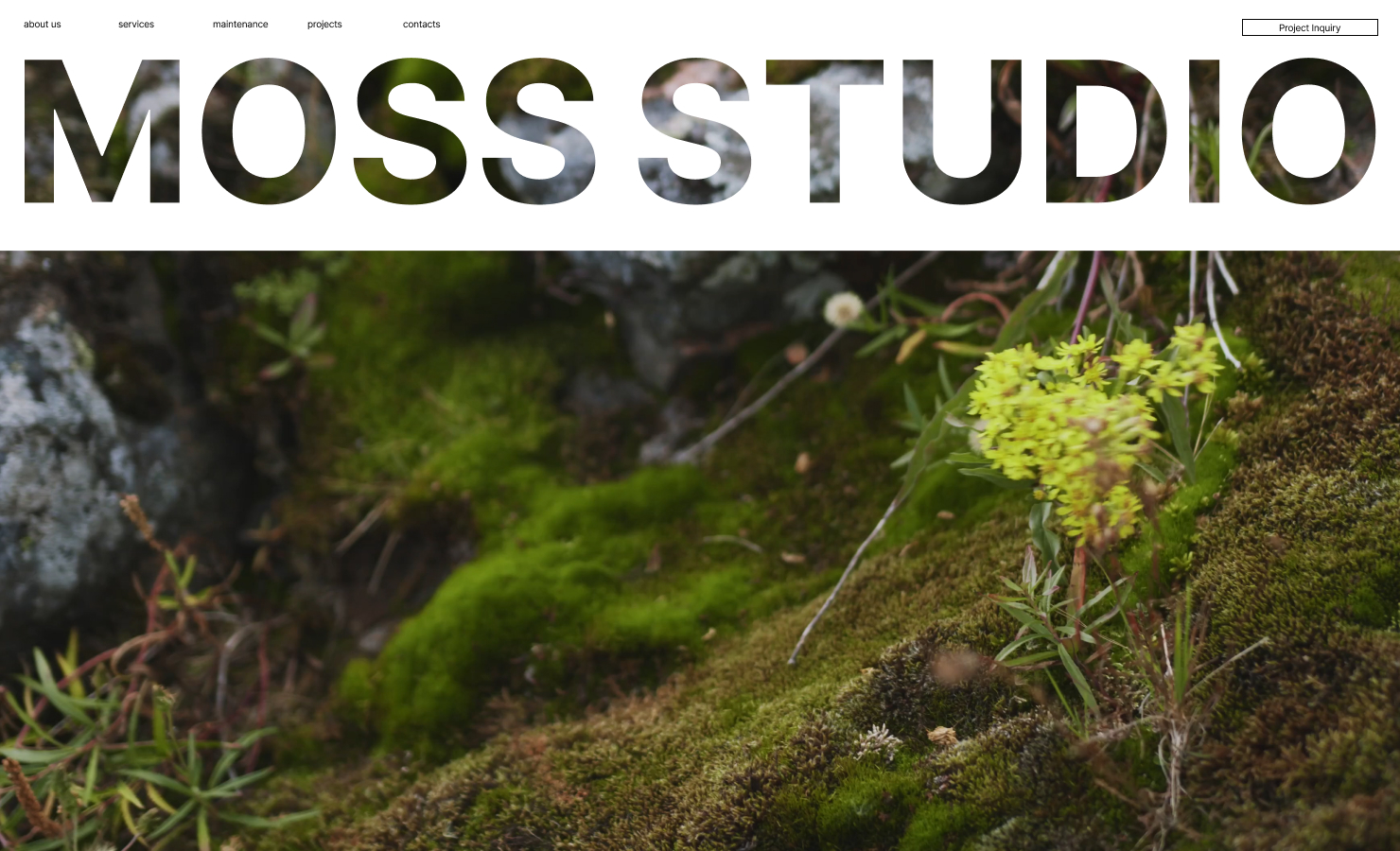 MOSS STUDIO