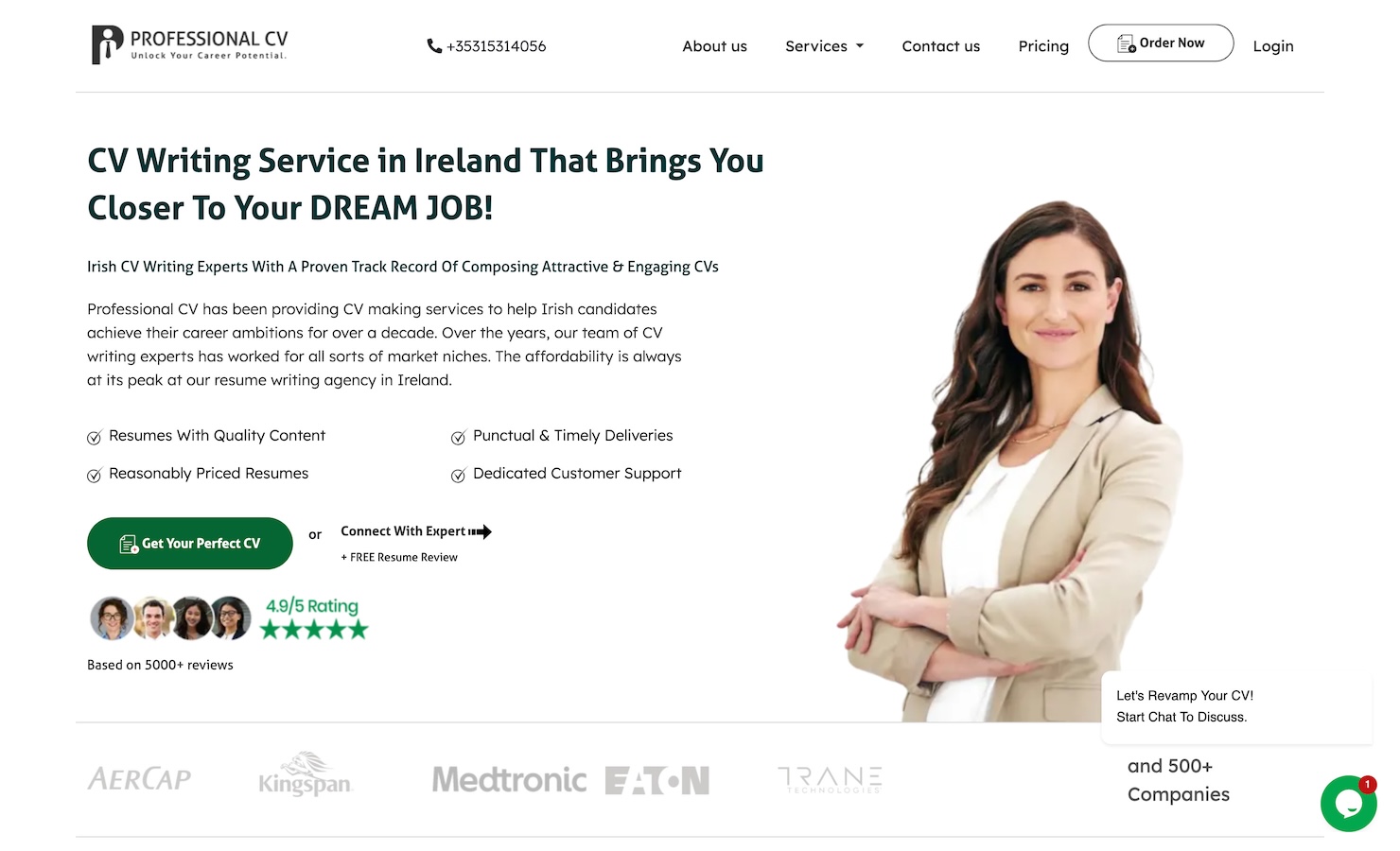 Professional CV Ireland