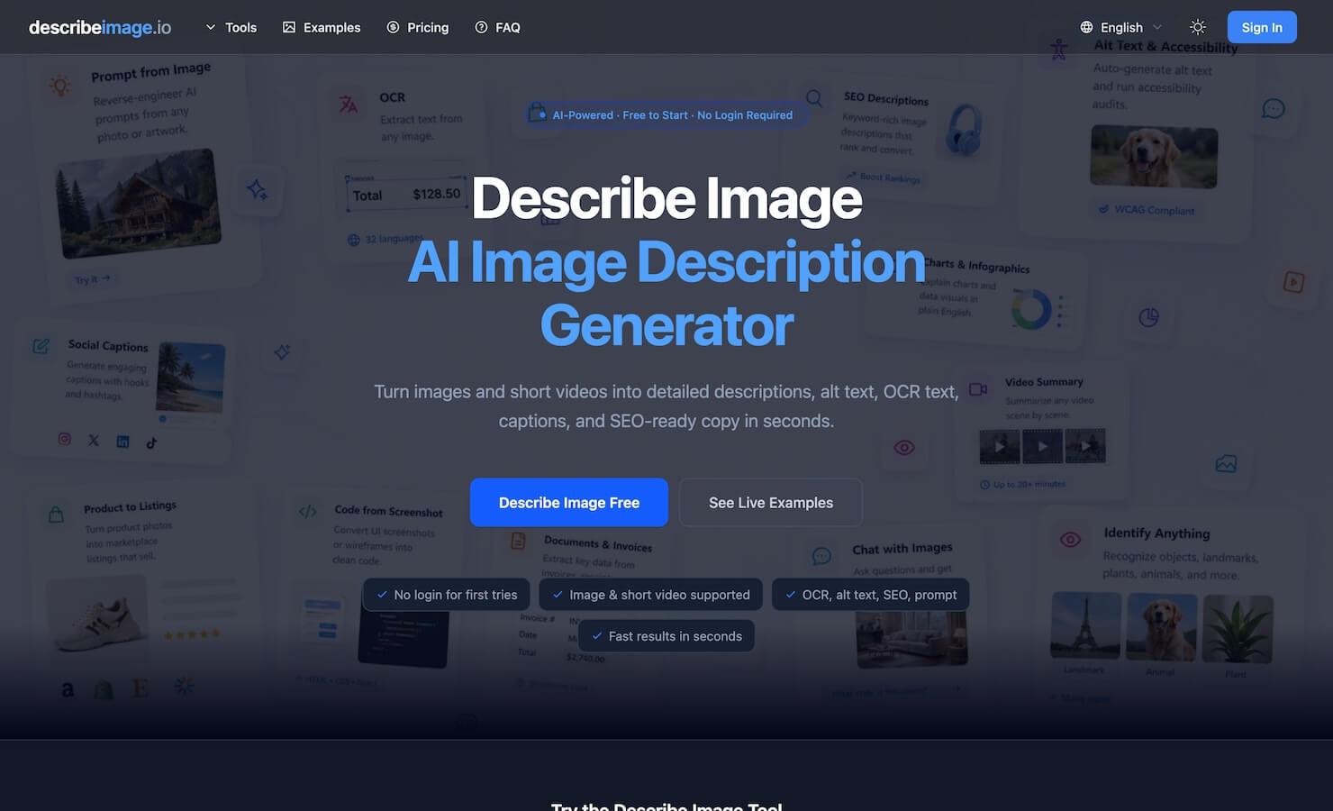 Describe Image