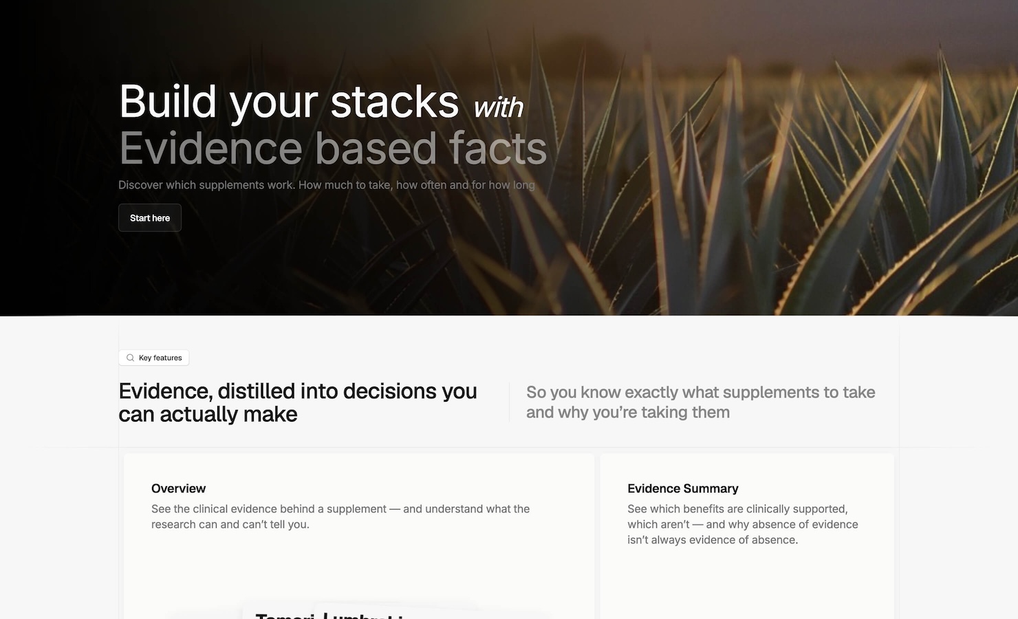 Suppstack