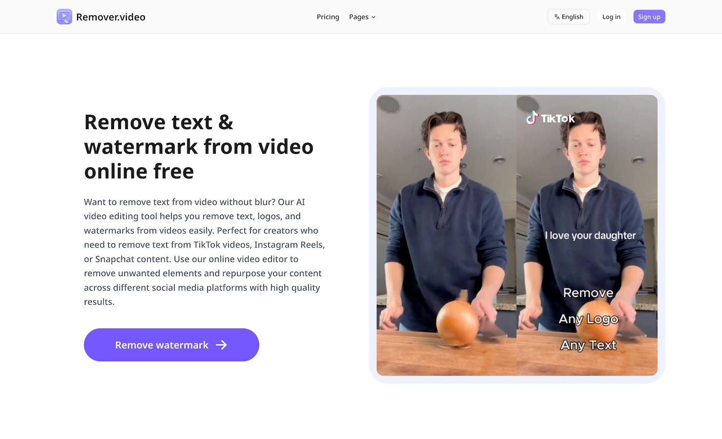 Removervideo removetextfromvideo
