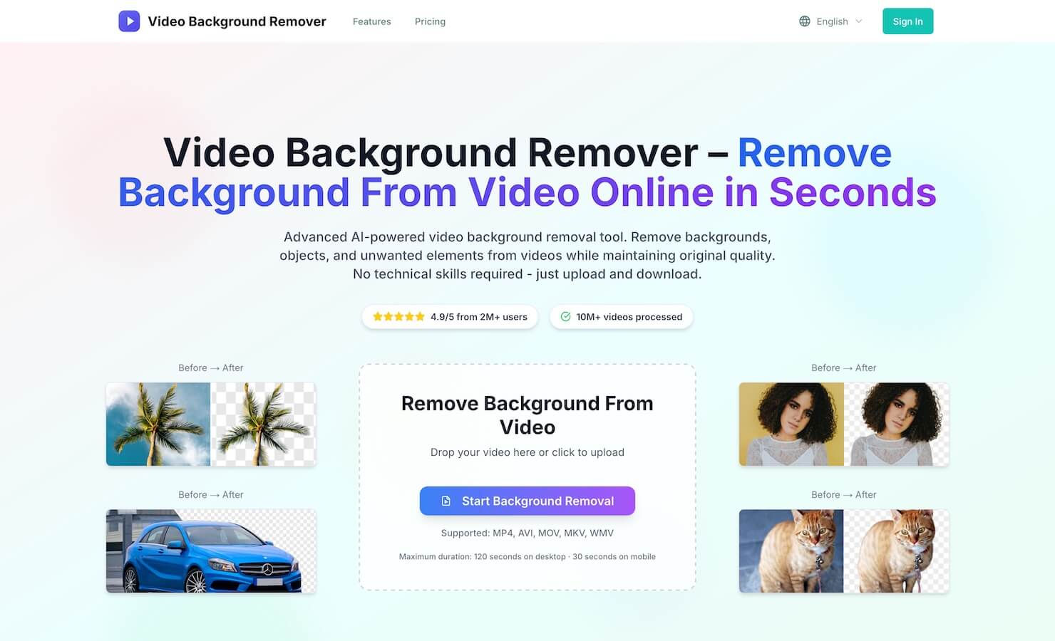 Video Background Remover