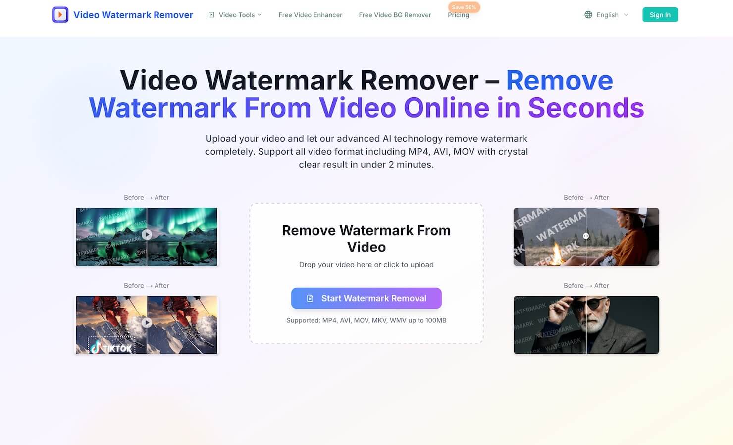 Video Watermark Remover